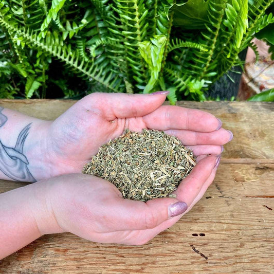 Organic Agrimony - Discover the magical properties of Agrimony in your herbal collection. Known for its folklore and healing qualities, organic Agrimony is a versatile herb used for protection, banishing negativity, and enhancing sleep spells.