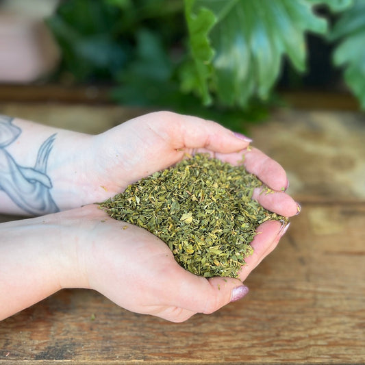 1 ounce Organic Alfalfa - Nourish your body and spirit with organic Alfalfa. Revered for its rich nutrients and magical properties, Alfalfa is believed to bring good fortune, abundance, and prosperity. Explore the wholesome benefits of this organic herb.