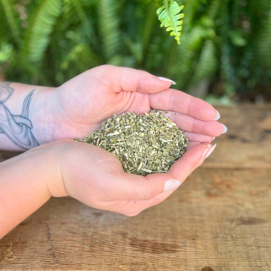 1 ounce Organic Boneset - Delve into the healing properties of organic Boneset. This herb has a long history of traditional use for supporting the immune system and promoting overall wellness. Embrace the organic vitality of Boneset in your herbal collection.