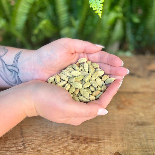 1 ounce Organic Cardamom Pods - Elevate your culinary and magical endeavors with organic Cardamom Pods. Beyond its delightful flavor, Cardamom is believed to bring clarity, love, and warmth. Immerse yourself in the aromatic and organic essence of Cardamom Pods.