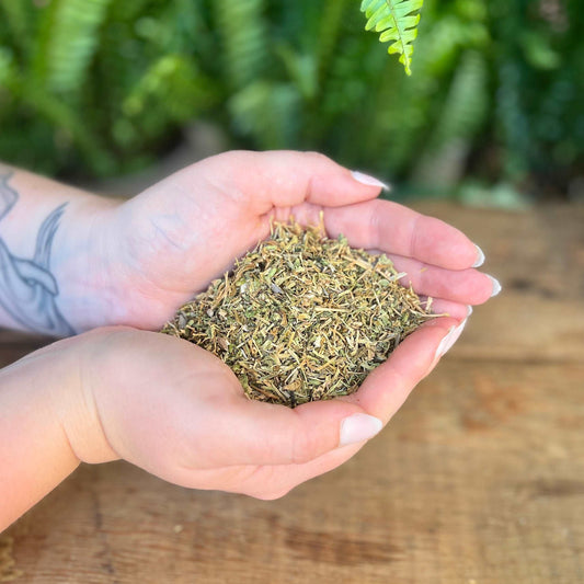 1 ounce Organic Chickweed - Discover the herbal versatility of organic Chickweed. Revered for its traditional uses, Chickweed is believed to support skin health and bring luck. Embrace the organic vitality of Chickweed in your herbal repertoire.