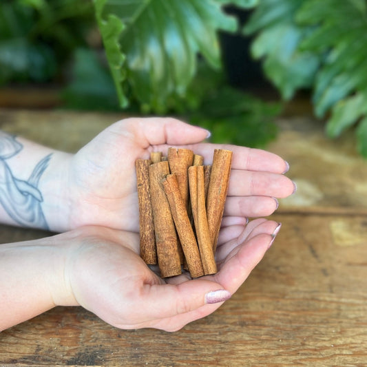 1 ounce Organic Cinnamon Sticks - Spice up your rituals and recipes with organic Cinnamon Sticks. Beyond its aromatic and flavorful qualities, Cinnamon is believed to bring warmth, prosperity, and love. Experience the organic richness of Cinnamon Sticks.