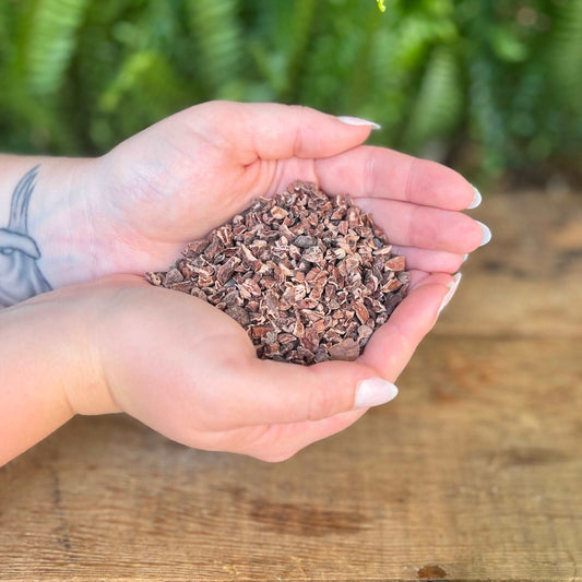 1 ounce Organic Cocoa Nibs - Indulge in the rich and organic goodness of Cocoa Nibs. Beyond their delectable flavor, Cocoa Nibs are believed to bring joy, love, and stimulate creativity. Immerse yourself in the organic pleasure of Cocoa Nibs.
