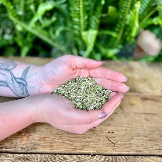 1 ounce Organic Echinacea - Boost your herbal collection with organic Echinacea. Revered for its traditional uses, Echinacea is believed to support immune health, enhance protection, and promote overall well-being. Immerse yourself in the organic strength of Echinacea.