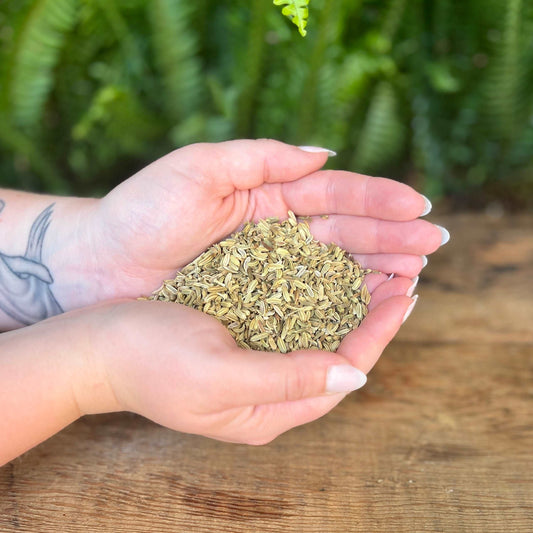 1 ounce Organic Fennel Seed - Spice up your herbal blends with organic Fennel Seed. Beyond its culinary uses, Fennel Seed is believed to bring protection, promote courage, and enhance psychic abilities. Experience the organic warmth of Fennel Seed.