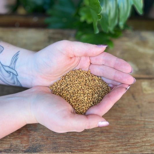 1 ounce Organic Fenugreek - Elevate your herbal rituals with organic Fenugreek. Revered for its traditional uses, Fenugreek is believed to bring prosperity, love, and enhance psychic abilities. Immerse yourself in the organic richness of Fenugreek.