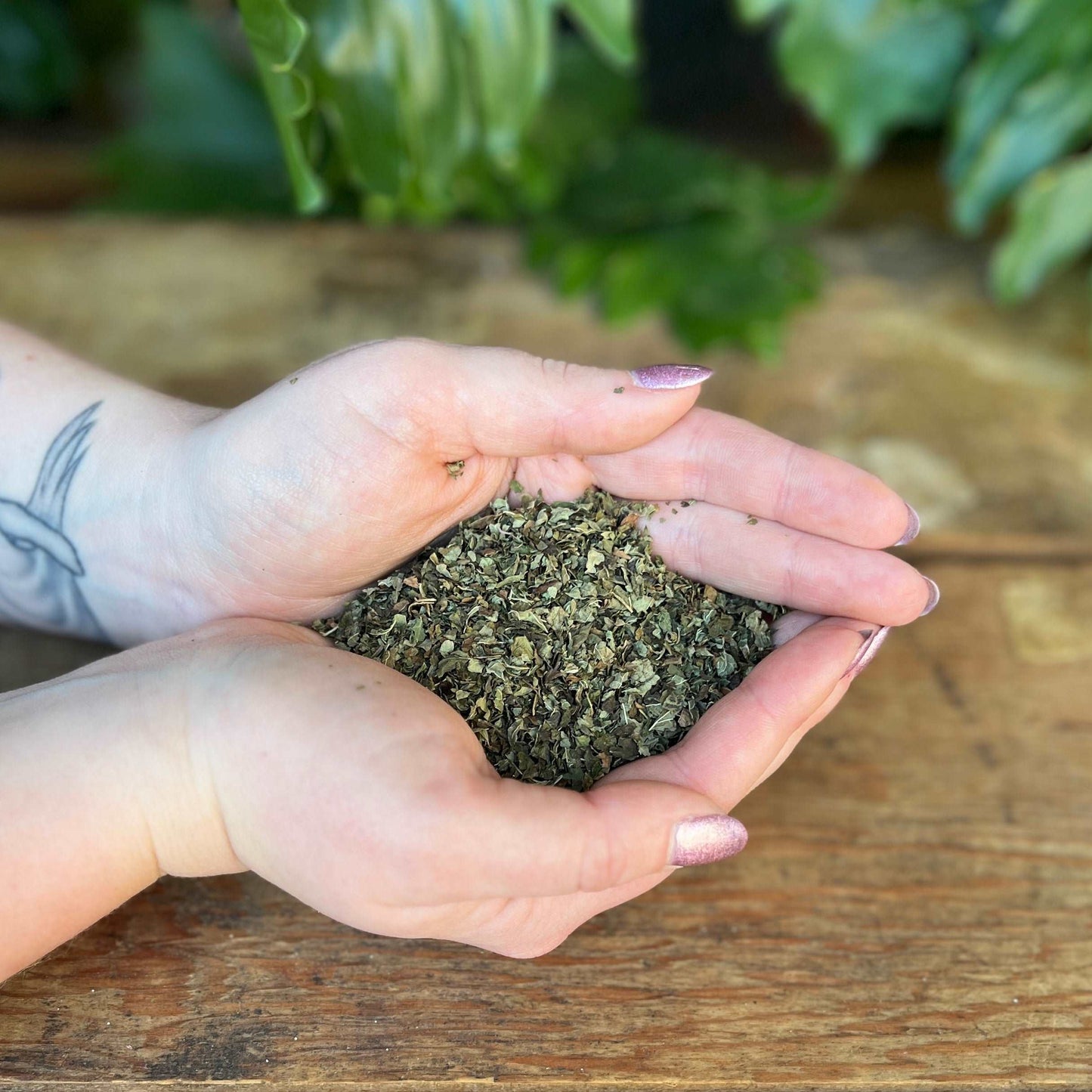 1 ounce Organic Lemon Balm - Embrace the soothing properties of organic Lemon Balm. Revered for its traditional uses, Lemon Balm is believed to bring relaxation, calmness, and promote overall well-being. Immerse yourself in the organic tranquility of Lemon Balm.