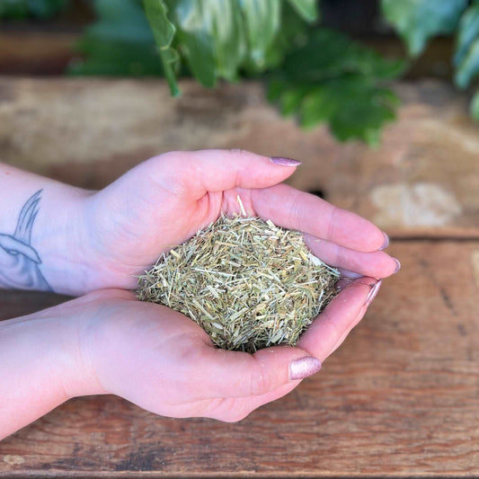 1 ounce Organic Oatstraw - Nourish your body with the organic goodness of Oatstraw. Known for its traditional uses, Oatstraw is believed to bring nervous system support, vitality, and promote overall well-being. Immerse yourself in the organic nourishment of Oatstraw.