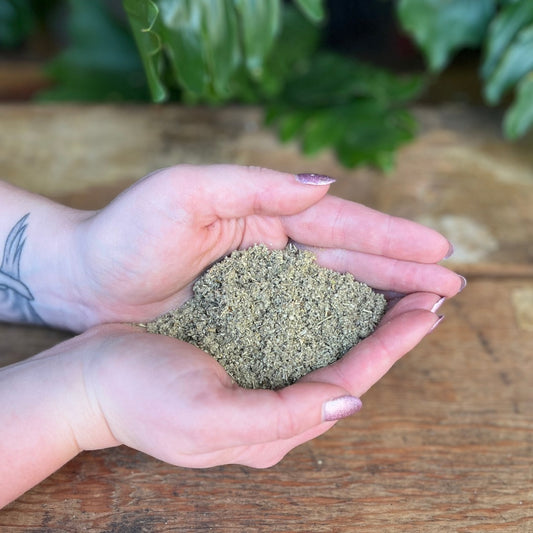 1 ounce Organic Sage Leaf - Explore the herbal benefits of organic Sage Leaf. Revered for its traditional uses, Sage Leaf is believed to bring antimicrobial properties, respiratory support, and promote overall well-being. Immerse yourself in the organic wisdom of Sage Leaf.
