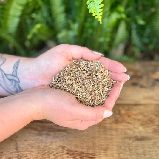 1 ounce Organic Sheep Sorrel - Explore the organic benefits of Sheep Sorrel. Known for its traditional uses, Sheep Sorrel is believed to bring antioxidant properties, immune support, and promote overall well-being. Immerse yourself in the organic vitality of Sheep Sorrel.
