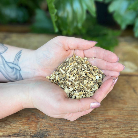 1 ounce Organic Angelica Root - Embrace the protective and purifying qualities of organic Angelica Root. This versatile herb is revered for its association with angels and is believed to enhance psychic abilities, ward off negativity, and bring blessings to rituals.