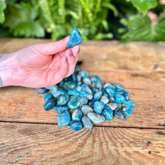 Blue Apatite Tumbled Crystal - A stone of inspiration and manifestation, Blue Apatite is thought to stimulate creativity and clear confusion. Keep this tumbled stone for fostering mental clarity and creativity.