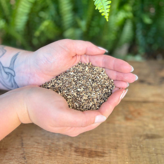 1 ounce Organic Black Cohosh Root - Explore the herbal realm with organic Black Cohosh Root. Revered for its traditional uses, this herb is believed to support women's health, ease discomfort, and promote balance. Embrace the organic wisdom of Black Cohosh Root.