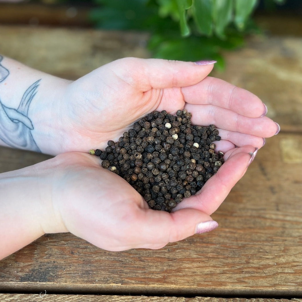 1 ounce Organic Black Pepper - Spice up your culinary delights and rituals with organic Black Pepper. Beyond its flavorful qualities, Black Pepper is believed to enhance protection, banish negativity, and stimulate energy. Experience the lively essence of organic Black Pepper.
