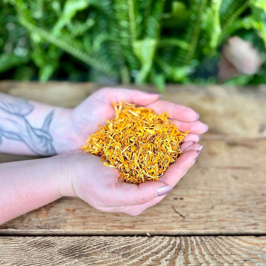 1 ounce Organic Calendula - Illuminate your herbal collection with organic Calendula. Known for its vibrant golden petals and soothing properties, Calendula is believed to bring joy, healing, and protection. Embrace the organic radiance of Calendula in your rituals.