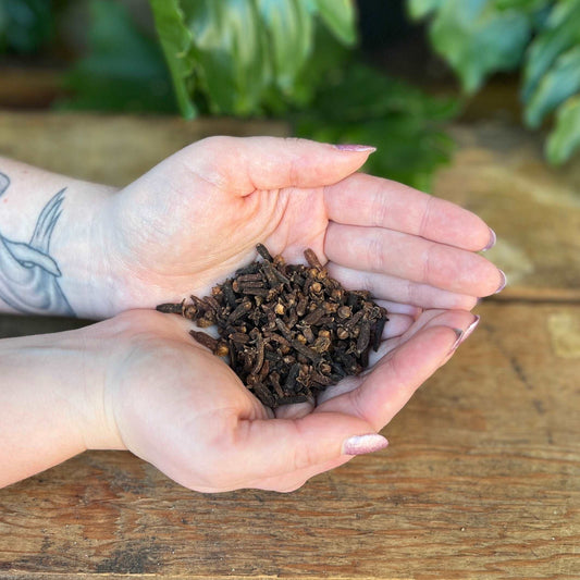 1 ounce Organic Cloves - Elevate your culinary and magical creations with organic Cloves. Beyond its spicy flavor, Cloves are believed to bring protection, attract love, and enhance spiritual insight. Immerse yourself in the aromatic and organic essence of Cloves.