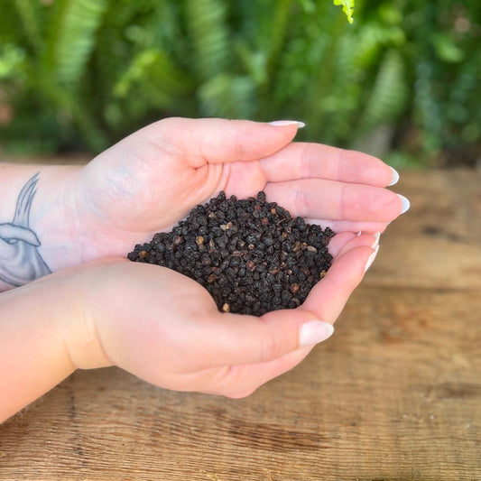 1 ounce Organic Elderberries - Elevate your herbal concoctions with organic Elderberries. Revered for their traditional uses, Elderberries are believed to bring protection, promote healing, and support overall well-being. Immerse yourself in the organic richness of Elderberries.