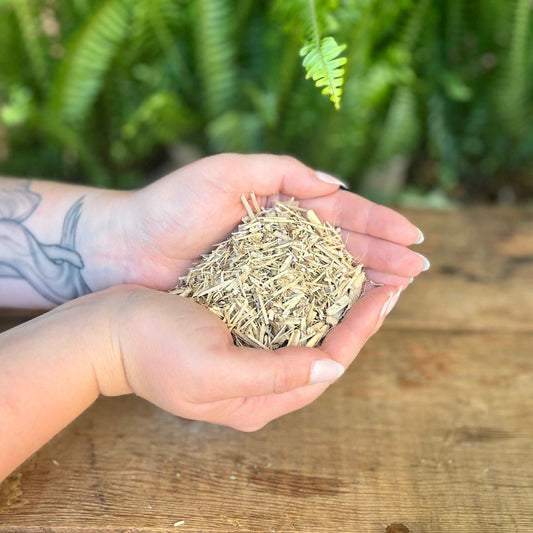 1 ounce Organic Eleuthero Root - Explore the adaptogenic properties of organic Eleuthero Root. Revered for its traditional uses, Eleuthero Root is believed to bring endurance, vitality, and balance energy. Immerse yourself in the organic strength of Eleuthero Root.