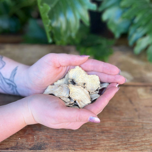 1 ounce Organic Ginger Root - Spice up your herbal rituals with organic Ginger Root. Beyond its culinary uses, Ginger Root is believed to bring energy, vitality, and enhance digestion. Experience the organic warmth of Ginger Root.