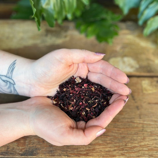 1 ounce Organic Hibiscus - Spice up your herbal concoctions with organic Hibiscus. Beyond its vibrant hue, Hibiscus is believed to bring love, passion, and enhance psychic abilities. Immerse yourself in the organic allure of Hibiscus.