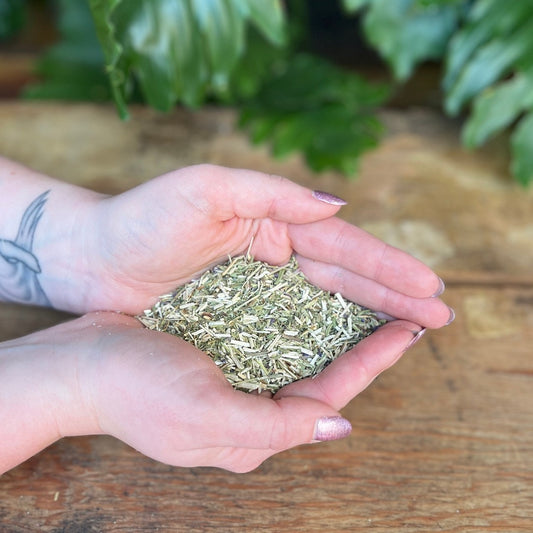 1 ounce Organic Hyssop - Enhance your herbal collection with organic Hyssop. Revered for its traditional uses, Hyssop is believed to bring purification, protection, and clarity. Immerse yourself in the organic essence of Hyssop.