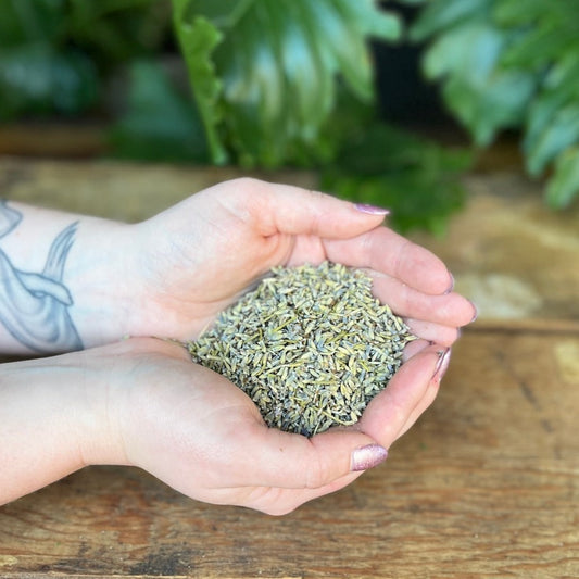 1 ounce Organic Lavender - Add a touch of floral serenity to your herbal blends with organic Lavender. Known for its calming properties, Lavender is believed to bring relaxation, peace, and enhance sleep. Immerse yourself in the organic calmness of Lavender.