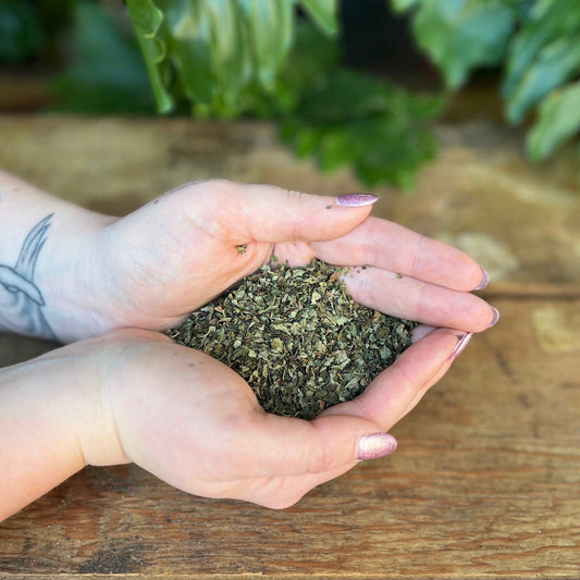 1 ounce Organic Lemon Balm - Embrace the soothing properties of organic Lemon Balm. Revered for its traditional uses, Lemon Balm is believed to bring relaxation, calmness, and promote overall well-being. Immerse yourself in the organic tranquility of Lemon Balm.