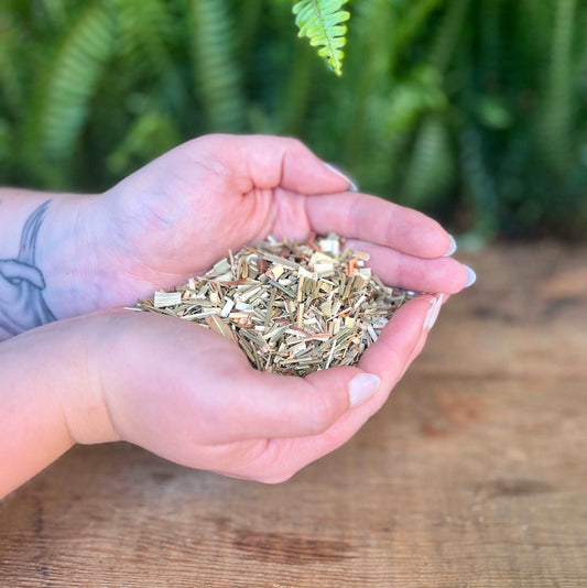 1 ounce Organic Lemongrass - Infuse your herbal creations with the bright aroma of organic Lemongrass. Known for its refreshing properties, Lemongrass is believed to bring clarity, purification, and a burst of citrusy energy. Immerse yourself in the organic freshness of Lemongrass.