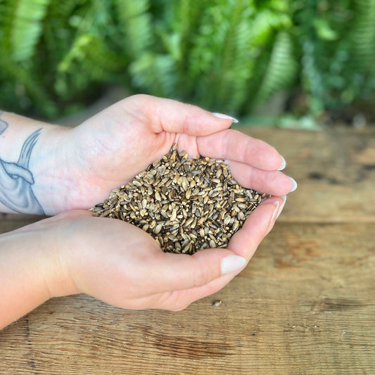 1 ounce Organic Milk Thistle Seed - Support your liver health with organic Milk Thistle Seed. Known for its traditional uses, Milk Thistle Seed is believed to bring detoxification, liver support, and promote overall well-being. Immerse yourself in the organic care of Milk Thistle Seed.