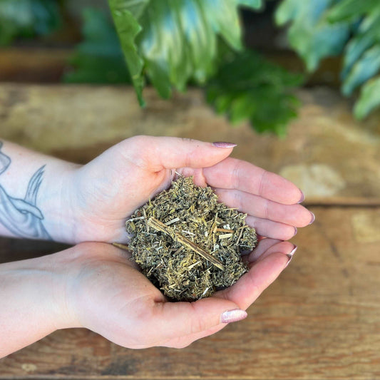 1 ounce Organic Mugwort - Explore the mystical properties of organic Mugwort. Revered for its traditional uses, Mugwort is believed to bring protection, intuition, and enhance dreamwork. Immerse yourself in the organic magic of Mugwort.