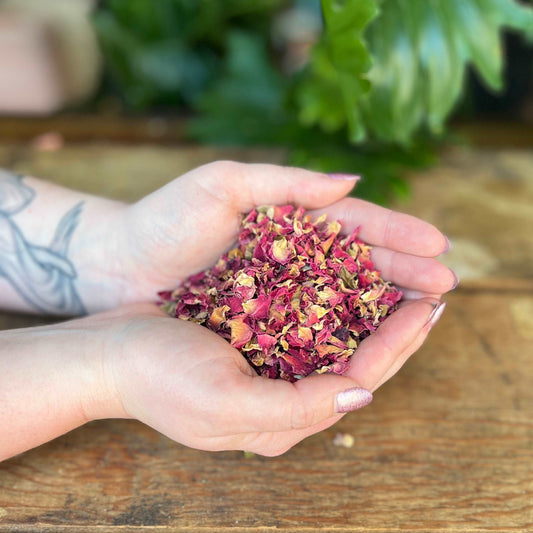 1 ounce Organic Rose Buds - Immerse yourself in the delicate beauty of organic Rose Buds. Known for their traditional uses, Rose Buds are believed to bring calming effects, skin support, and promote overall well-being. Immerse yourself in the organic elegance of Rose Buds.