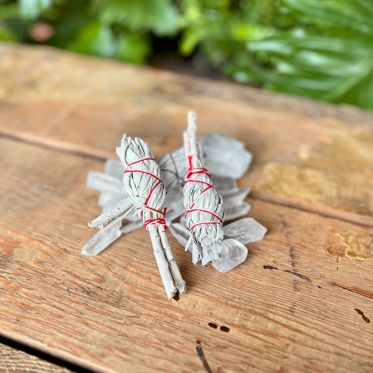 Experience the pure and potent energy of our Tiny White Sage Smudge. Harvested with care, this miniature ceremonial herb is perfect for smaller spaces, travel, or quick energy cleansing rituals. Embrace the sacred essence of White Sage and elevate your spiritual practices with ease.