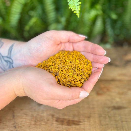 1 ounce Organic Turmeric - Explore the organic benefits of Turmeric. Revered for its traditional uses, Turmeric is believed to bring anti-inflammatory properties, digestive support, and promote overall well-being. Immerse yourself in the organic vibrancy of Turmeric.