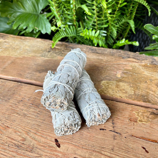 Purify and cleanse your space with the sacred essence of White Sage. Our White Sage Smudge is carefully harvested, providing you with a ceremonial herb known for its powerful energy-cleansing properties. Enhance your spiritual rituals and create a sacred atmosphere with the aromatic embrace of White Sage.