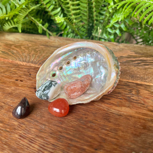 Prosperity Crystal Kit - Invite abundance and success with Garnet, Sunstone, Moss Agate, and Carnelian. Harness the energy to prosper in various aspects of your life.